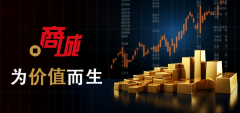 <b>工程审计商城取制价征询商城中文域名工程办事</b>